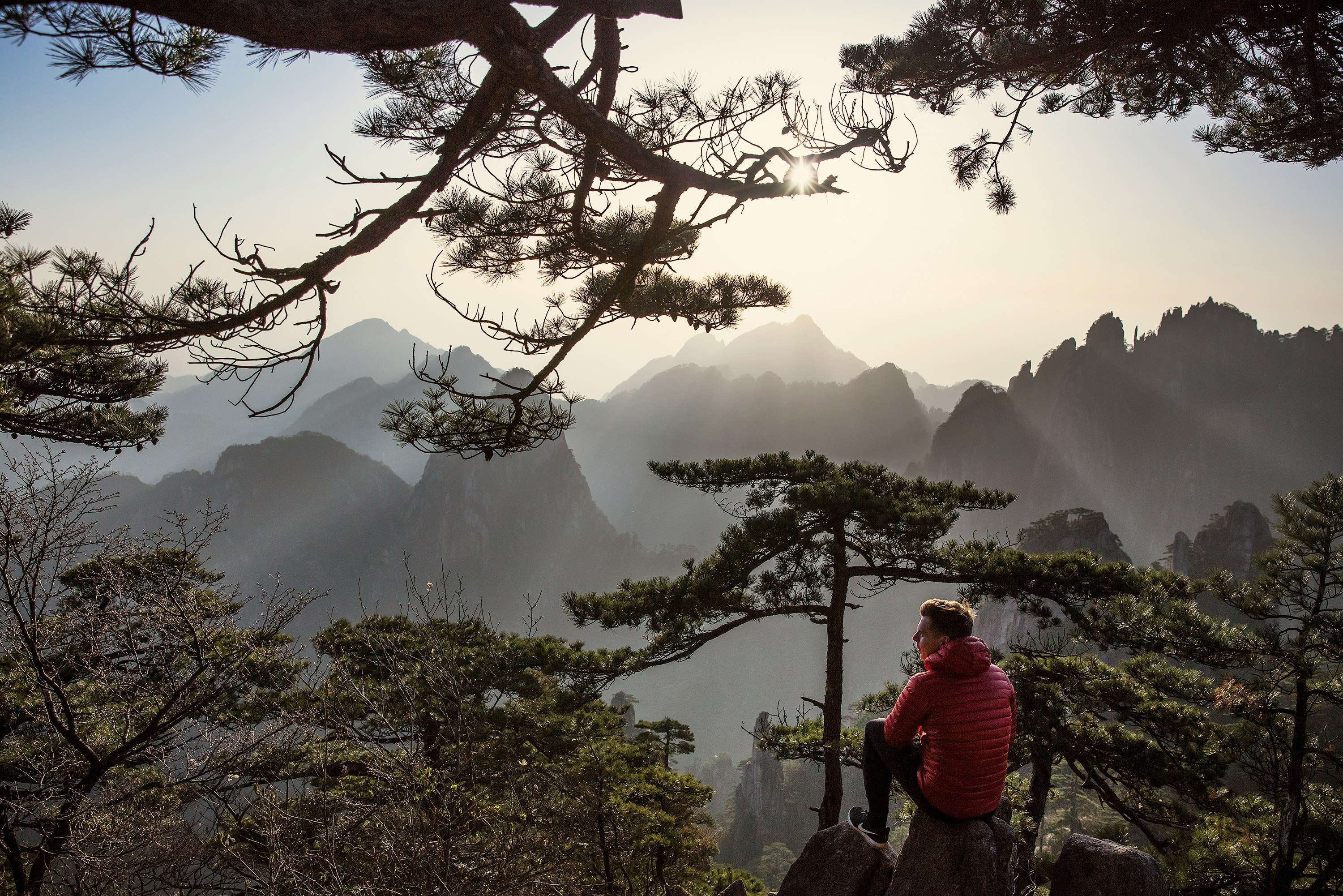 man sitting on rock surrounded by trees